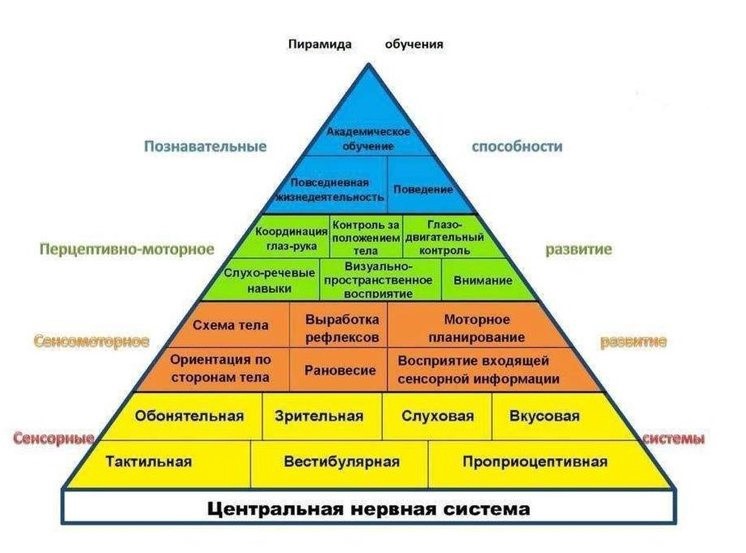 О развитии речи, мышления, памяти, внимания у двуязычных детей